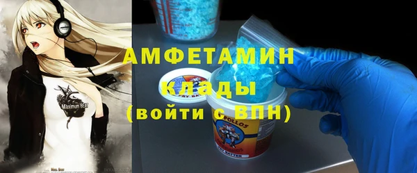 тгк Ельня