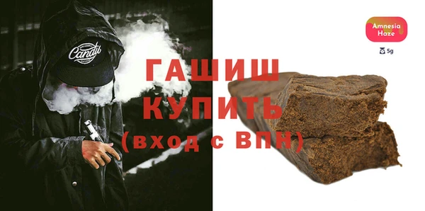 тгк Ельня