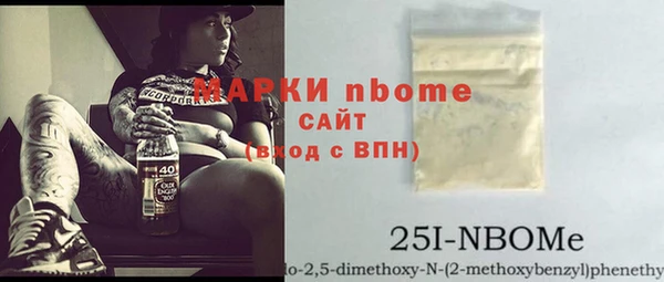 тгк Ельня