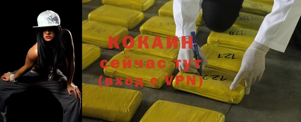 тгк Ельня