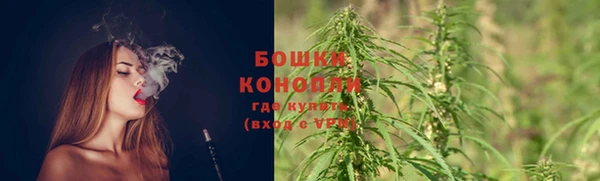 сатива Елабуга