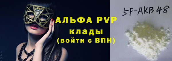 хмурый Дмитровск