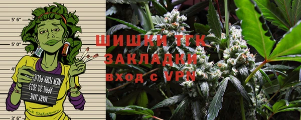 тгк Ельня