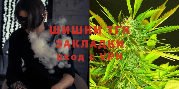 сатива Елабуга