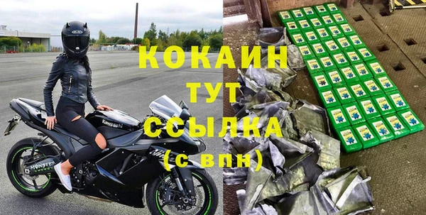 хмурый Дмитровск