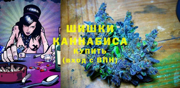хмурый Дмитровск