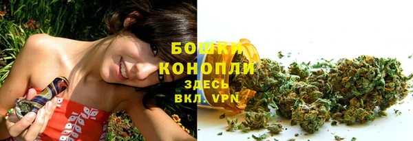 mdpv Елизово
