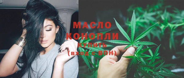 сатива Елабуга